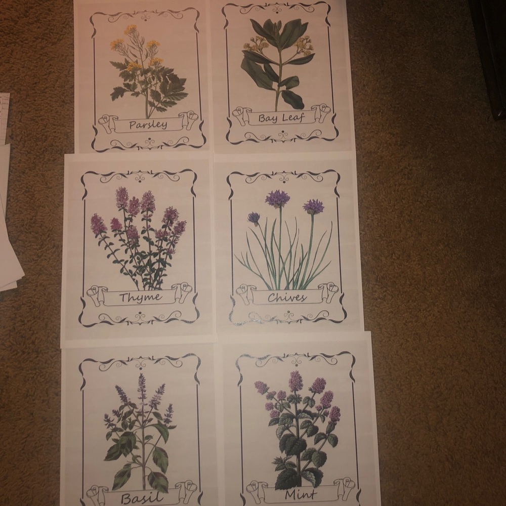 6 prints